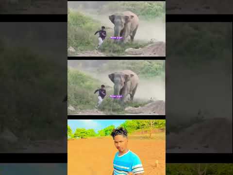 Mayang Mayang New Ho Munda Song 2025 | Dandom Star & Aditya Birua #Sanchitmunda #shortvideo #shorts