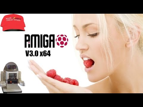 PiMiga3 a Linux based Amiga emulation tribute to the C= Amiga