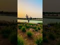 Hariharan Nee Kaatru Naan Maram Love Lake ️ Dubai Travel Tamilsongs Indiansongs Shorts