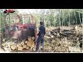 Controlli 'Bosco Sicuro': verifica della corretta applicazione dei tagli boschivi, anche nel Cilento