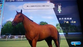 【スタホ4／スターホース4】スターホース4をやってみた《特别編》（一杯調教未出走馬素質検証：その1）〜120週フル漬け・レース未出走・トレセン使用禁止〜