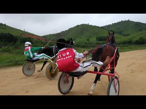 Kw Especialista x Incauto