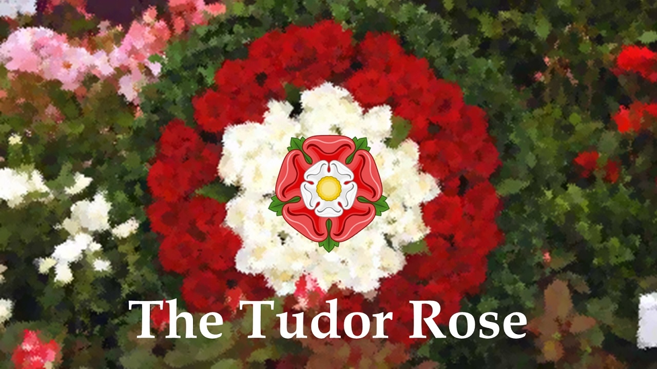 What does a Tudor rose represent?