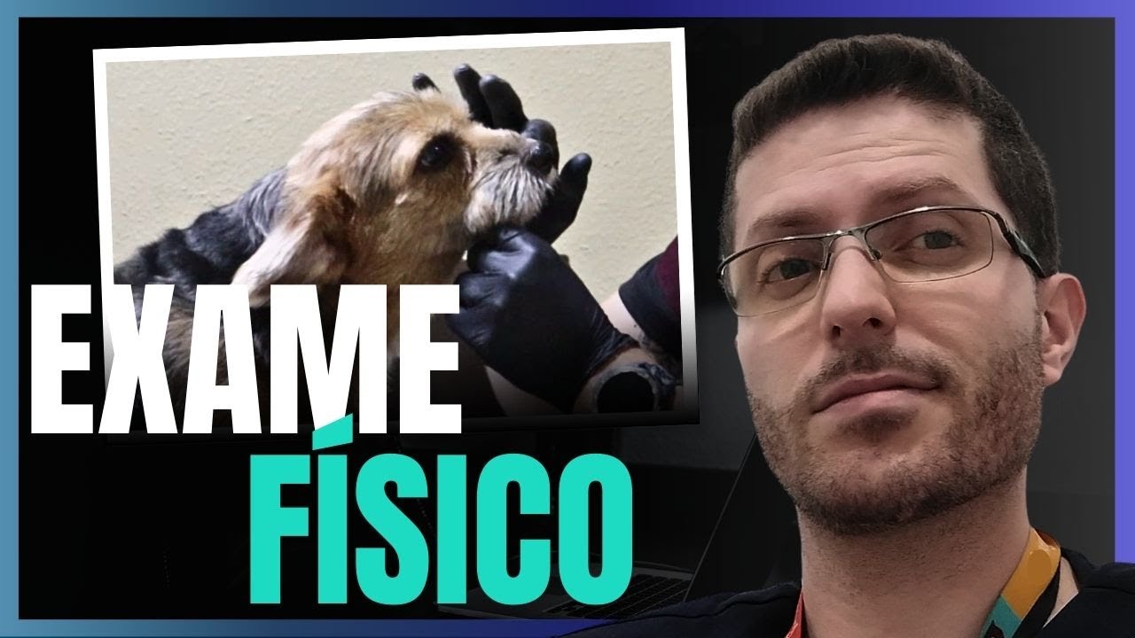 Exame Físico em Cão - Semiologia Veterinária