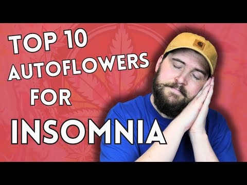 TOP 10 AUTOFLOWER GENETICS FOR INSOMNIA - SLEEPY STRAINS