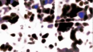 Coil - Triple Sun (Fan Music Video)