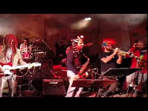 Ronald Reggae - רונלד רגאיי