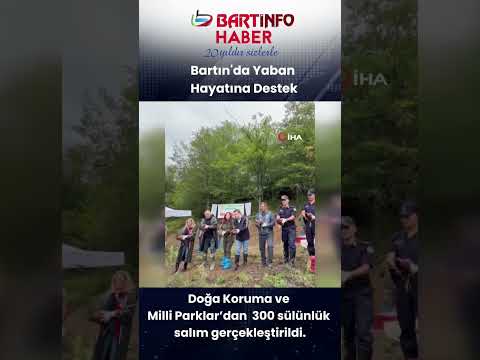 Bartın’da 300 Sülün Doğaya Salındı! 🐦🌲
