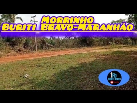 Olá galera hoje estamos mostrando os morrinho Buriti Bravo Maranhão