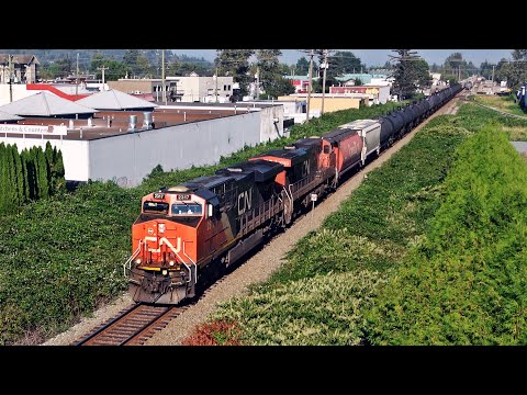 Fast CN ES44DC’s Speed Mixed Freight Train Underneath Overpass - CN Yale Subdivision