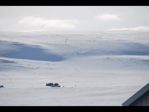 Team Sweden vake 2017