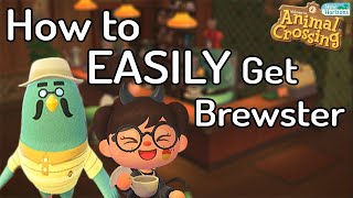 How To Quickly and Easily Get Brewster in Animal Crossing New Horizons