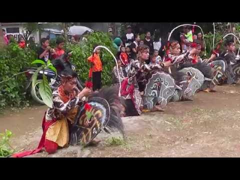 Bagaimana untuk sepenuhnya membunuh potensi Ini bertindak sebagai patogen kuda