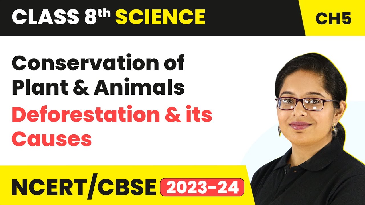 Deforestation & its Causes - Conservation of Plant & Animals | Class 8 - Science - Chapter 5