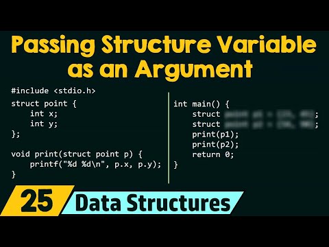 Structures and Functions Part 2