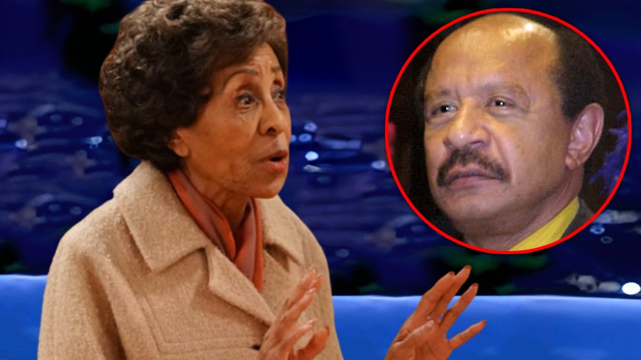 YouTube Thumbnail Downloader FULL HQ IMAGE