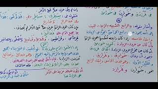 صورة شرح ابن عقيل ( 825-832 ) 179