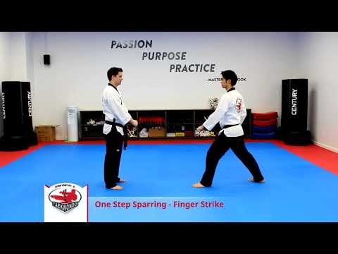 One Step Sparring  #1