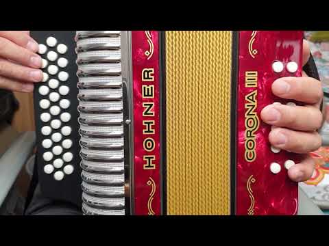 Diatonic Scale - Hohner Corona III accordion.