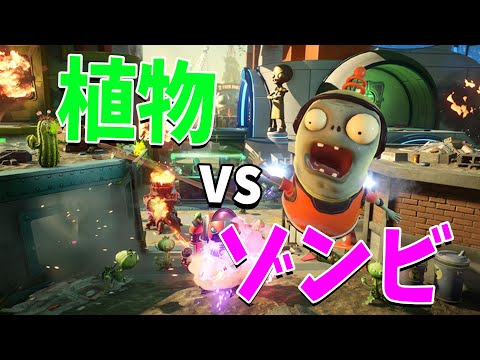 ズッキーニ:グッドネイバーとは何ですか? 植物