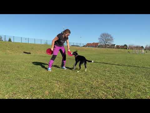 🌶Scoville building the first Catch