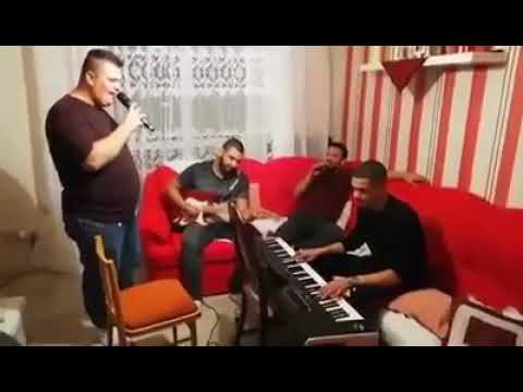 Gipsy Socialka Official 2019