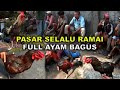 Bangkok Chicken Market Madura S Busiest Traditional Chicken Market Full Of Quality Chickens