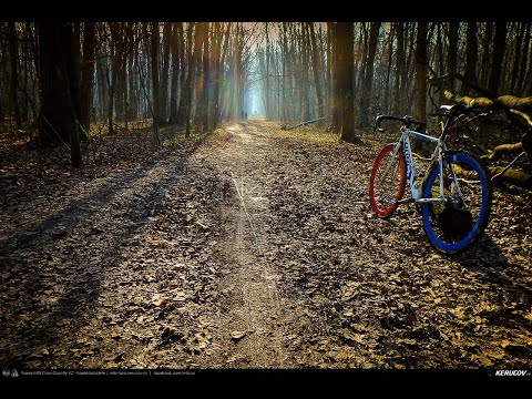 KERUCOV .ro: Traseu SSP Bucuresti - Padurea Baneasa - Bucuresti