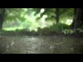 Rain Day Whatsapp Status Video