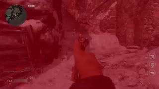 ww2配信！！イライラしたらやめる
