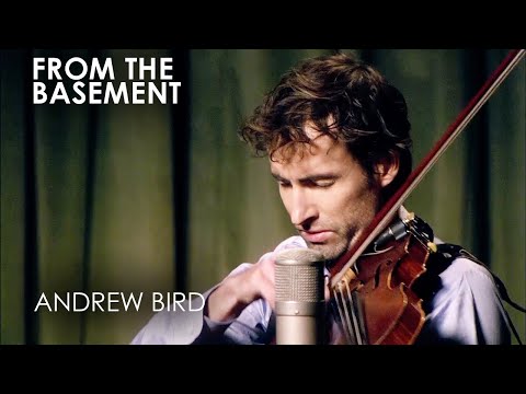 Plasticities - Andrew Bird