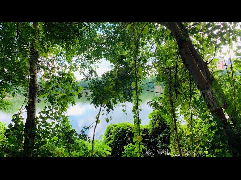 Koretapadu Lake | walking track | Ravali’Vlogs