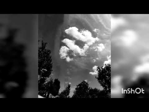 Sauce walka x Sauce gohan x sada baby x rizzoo rizzoo  - 400k