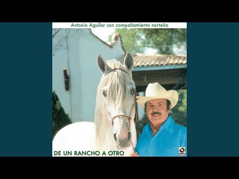 Margarita, Margarita