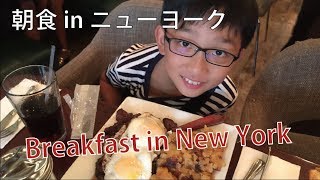 Breakfast in Diner ニューヨークのダイナーで朝食 New York City