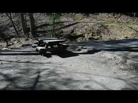 A quick video of one of the sites near the creek.
