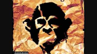 Darwin&#39;s Waiting Room - All I Have Is Me (lyrics)