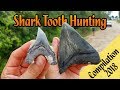 Shark Tooth Hunting in Florida | Summer of 2018 Compilation | Megalodon Teeth & Fossil Great Whites