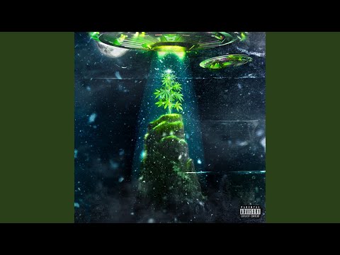 Visa (feat. Lil Ameal)