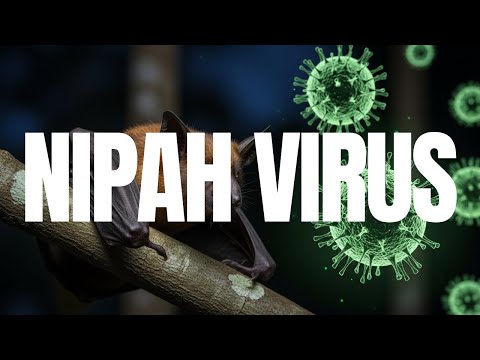 NIPAH VIRUS: From First Outbreak to Global Threat (1998–2026) | Full Documentary