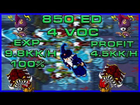 TIBIA 850+ ED | 4VOC HUNT FIRE LIBRARY | 9.8kk/100% EXP | Best places for teamhunts 800+
