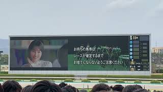 第68回 G1 大阪杯 現地ターフビジョン(2024/3/31)