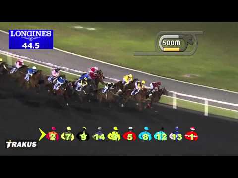 13.02.2014 Meydan (Dubai-UAE) 5.Race Al Shindagha Sprint 2014 - Group III 1.200 m