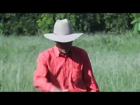 Wilker Cordoba Abril y Mayo en mi Llano