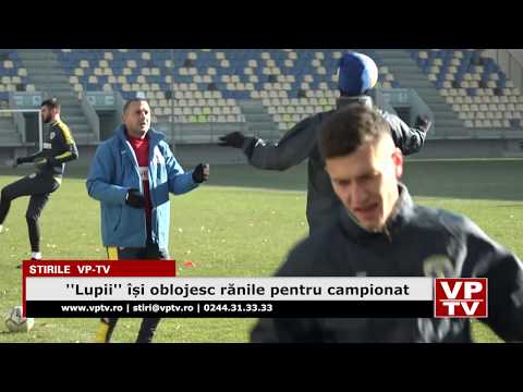 ”Lupii” își oblojesc rănile pentru campionat