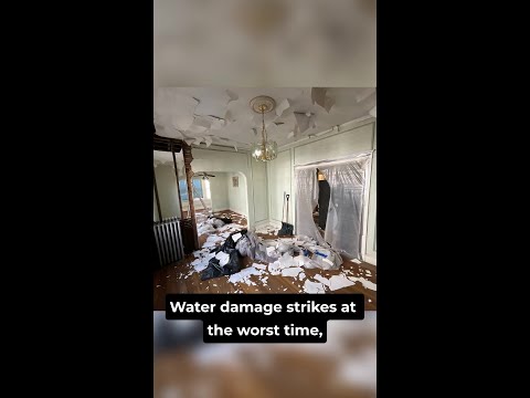 What to Do First After Finding Water Damage in Your Hanover Home