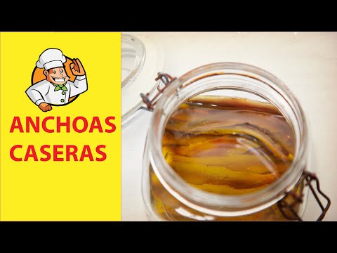 ANCHOAS EN SALAZÓN. Sistema RÁPIDO.