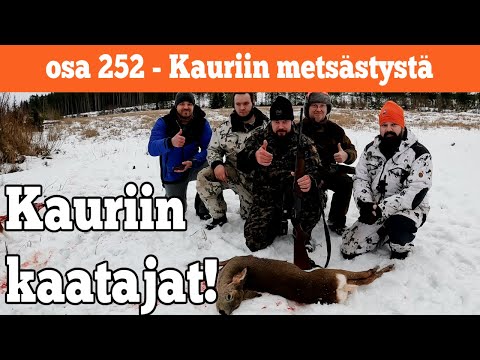 Osa 252 - Kauriin metsästystä - 2022/2023