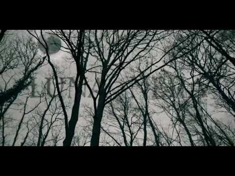 Luna Nera Intro🌙