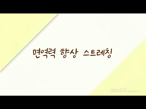 집에서 하는 면역력 향상 스트레칭
